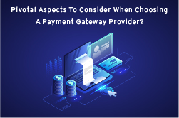 Payment Gateway Provider