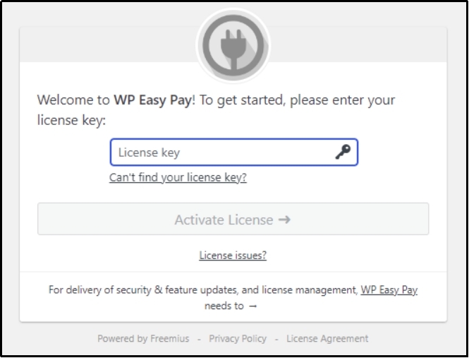 Enter your license key for WP EasyPay in the input box to activate the plugin