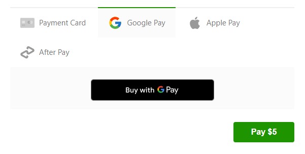 Google Pay option box for payment selection in the payment interface.