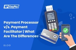 payment processors vs payment facilitators